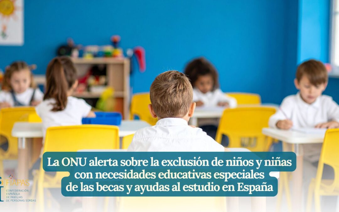 LA ONU ALERTA SOBRE LA EXCLUSIÓN DE NIÑOS Y NIÑAS CON NECESIDADES EDUCATIVAS ESPECIALES DE LAS BECAS Y AYUDAS AL ESTUDIO EN ESPAÑA